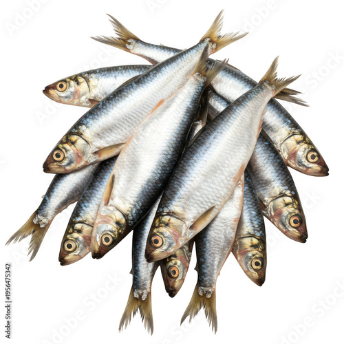 Pile of fresh sardines isolated on transparent background
