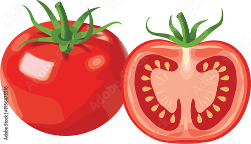 Fresh tomato whole and sliced cross section juicy red vegetable food vector illustration design