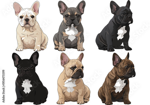 Vector illustration of six different adorable French Bulldog puppies in various colors sitting and looking cute
