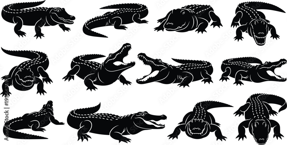 Obraz premium Crocodile Silhouette Collection with Dynamic Reptile Poses, Open Mouth Predators, Side and Front Views, and Wildlife Vector Illustrations