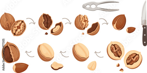 Nut butter collection with peanut almond chocolate spreads in jars and bowls creamy food set vector illustration design