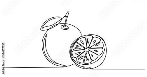 Continuous line drawing of a whole orange with a leaf and a sliced half on a white background Vector, illustration