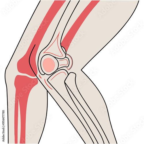 A minimalist black vector illustration of a naked woman silhouette, featuring a human body anatomy sketch of a ballet dancer figure in a fashion art design