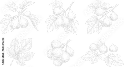 Vector illustration set of cute local shop fronts including bakery florist book store coffee shop and pharmacy