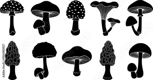 Mushroom silhouette vector icons set, botanical fungi illustration for forest, nature, wild plants, food design, and educational use
