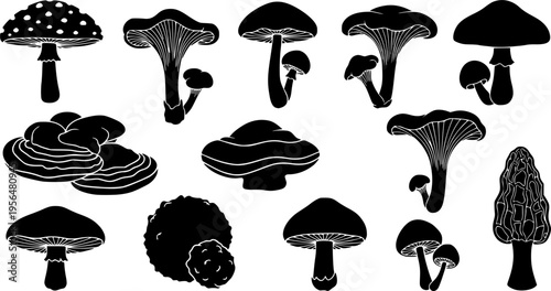 Mushroom silhouette vector icons set, botanical fungi illustration for forest, nature, wild plants, food design, and educational use

