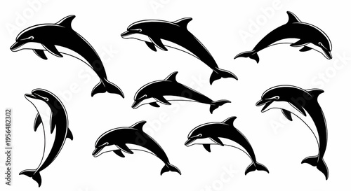 Set of vector dolphin illustrations in black silhouette and white background