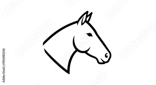 vector illustration of a horse