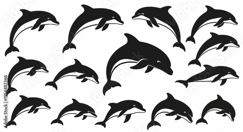 Set of vector dolphin illustrations in black silhouette and white background