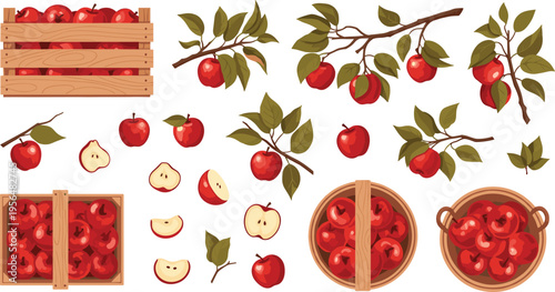 Apple harvest collection with tree branches crates baskets and fresh fruit slices vector illustration set