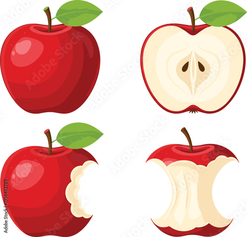 Apple set with whole fruit cut half and eaten core fresh red apple stages vector illustration