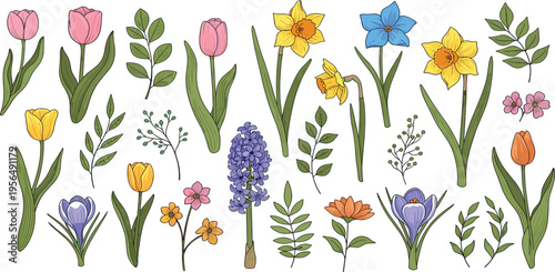 Hand Drawn Spring Flower Collection with Tulips, Daffodils, Hyacinths, and Botanical Elements in Soft Colors for Floral Design, Invitations, and Decorative Illustrations