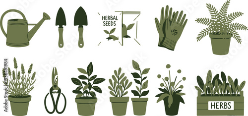 Flat lay gardening tools and potted herbs with herbal tea set illustration on white background