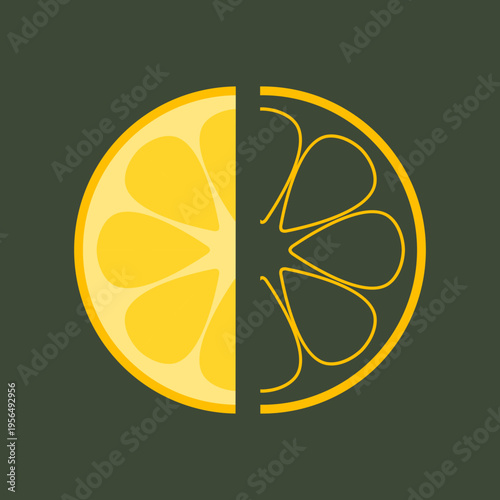 Cytryna - przekrój