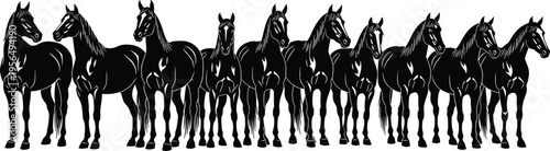 Group of black horse silhouettes standing in a row, equestrian vector illustration of stallion herd, farm animals isolated on white background for design.