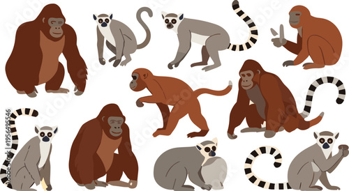 Monkey and Primate Animals Collection Featuring Lemurs, Orangutans, and Apes in Various Poses in Flat Cartoon Style Vector Illustration for Wildlife and Nature Design