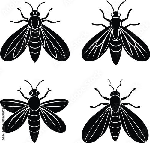 Firefly silhouette vector illustration