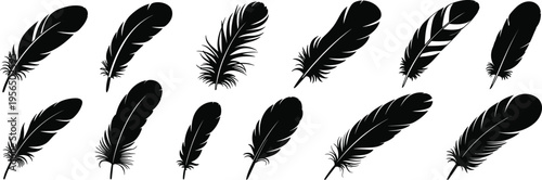 A decorative collection of various black feather silhouettes, representing freedom, spirituality, and lightweight design, isolated on a white background.