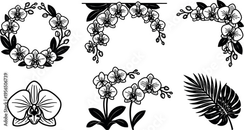 Floral vector set of orchid blossoms and tropical leaves for decoration designs