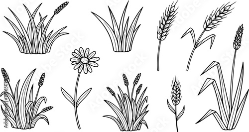 Hand Drawn Doodle Style Set of Black and White Grass Blades Flowers and Wheat Stalks Simple Line Art Nature Elements for Design Projects