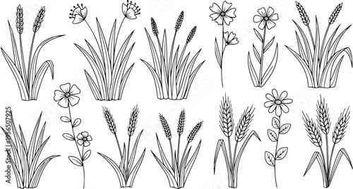 Hand Drawn Doodle Style Set of Black and White Grass Blades Flowers and Wheat Stalks Simple Line Art Nature Elements for Design Projects