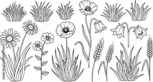 Hand Drawn Doodle Style Set of Black and White Grass Blades Flowers and Wheat Stalks Simple Line Art Nature Elements for Design Projects