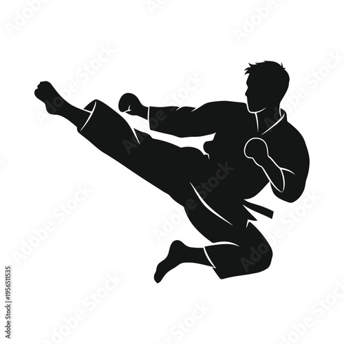 Silhouette of a martial artist performing a high kick in mid-air, dynamic action pose, black and white