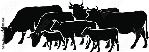 Herd of cows and calves grazing together