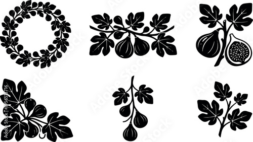 Fig leaf silhouette set for vector art