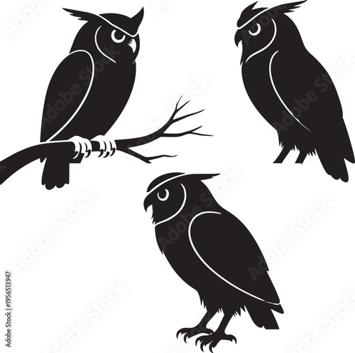 Three owls silhouettes with white outlines, one perched on branch, two standing on ground