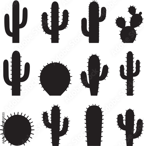 Cactus silhouettes desert plants