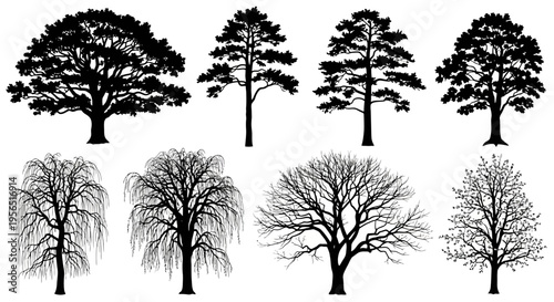 Set of tree silhouettes in various seasons