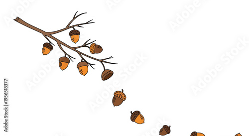 Leaves fall from tree branch in autumn season outdoors freely