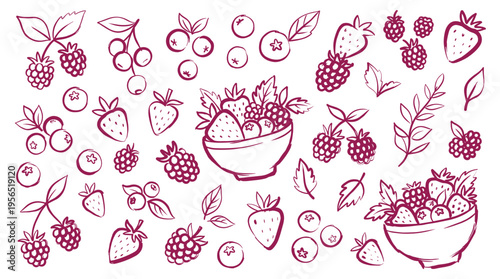 Hand drawn sketch of fresh berries and fruits in bowls, isolated on white background, healthy food illustration