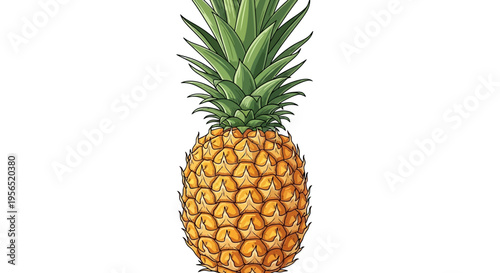 Vector illustration of a fresh ripe pineapple isolated on white background