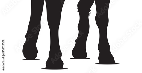 Black silhouette of horse legs and hooves on a white background, vector illustration.