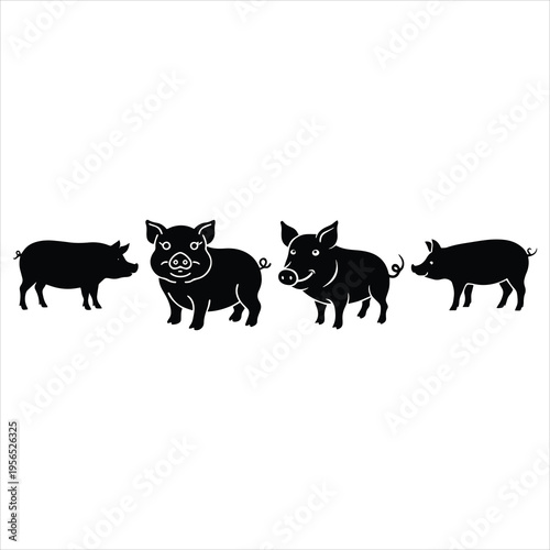 armadillo animals vector illustration