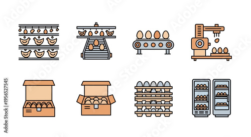Illustration of Egg Production Process Detailed Vector Graphic Depicting Automated Chicken Farm Stages Including Collection, Conveyor Belt, Packing, and Refrigeration of Fresh Poultry Eggs, 