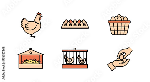 A comprehensive vector icon set depicting various aspects of chicken farming, poultry production, and egg collection, rendered in a charming, minimalist, flat-design style, perfect for agric