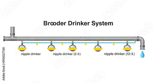 Detailed diagram of a Brooder Drinker System, a vital agricultural infrastructure for efficient poultry farming, depicting the design of water supply lines.