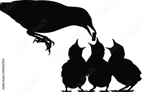 A large bird feeds its three chicks