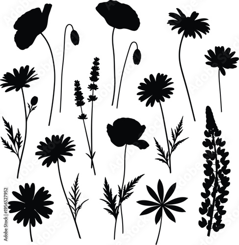 A collection of black silhouettes of various flowers and objects