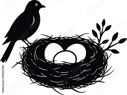 A bird sitting on a nest with eggs