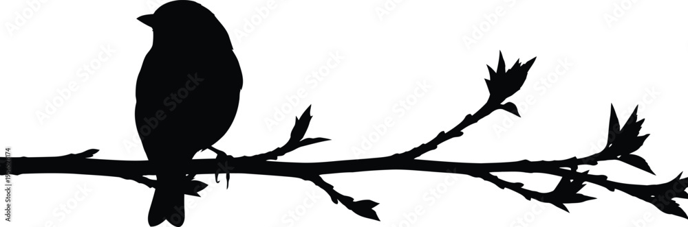 Naklejka premium A black silhouette of a bird sitting on a branch