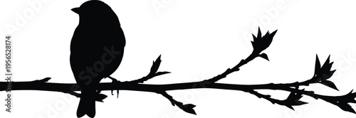 A black silhouette of a bird sitting on a branch