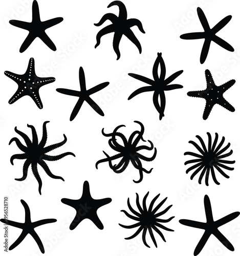 A collection of black starfish and sea creatures on a white background