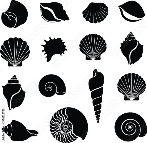 A collection of various seashells on a white background