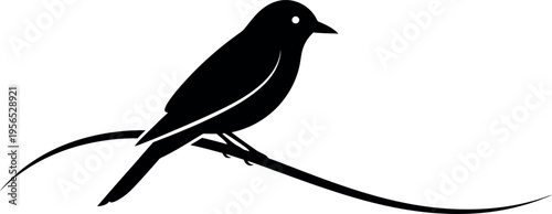 Black bird perched on a curved line
