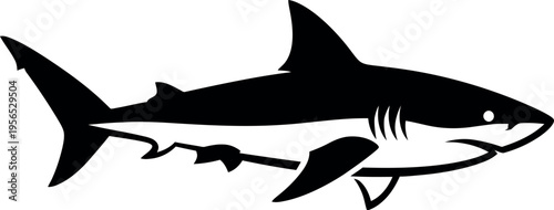 Black shark silhouette on white background