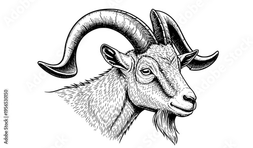 Vintage goat engraving illustration retro farm animal sketch black and white vector